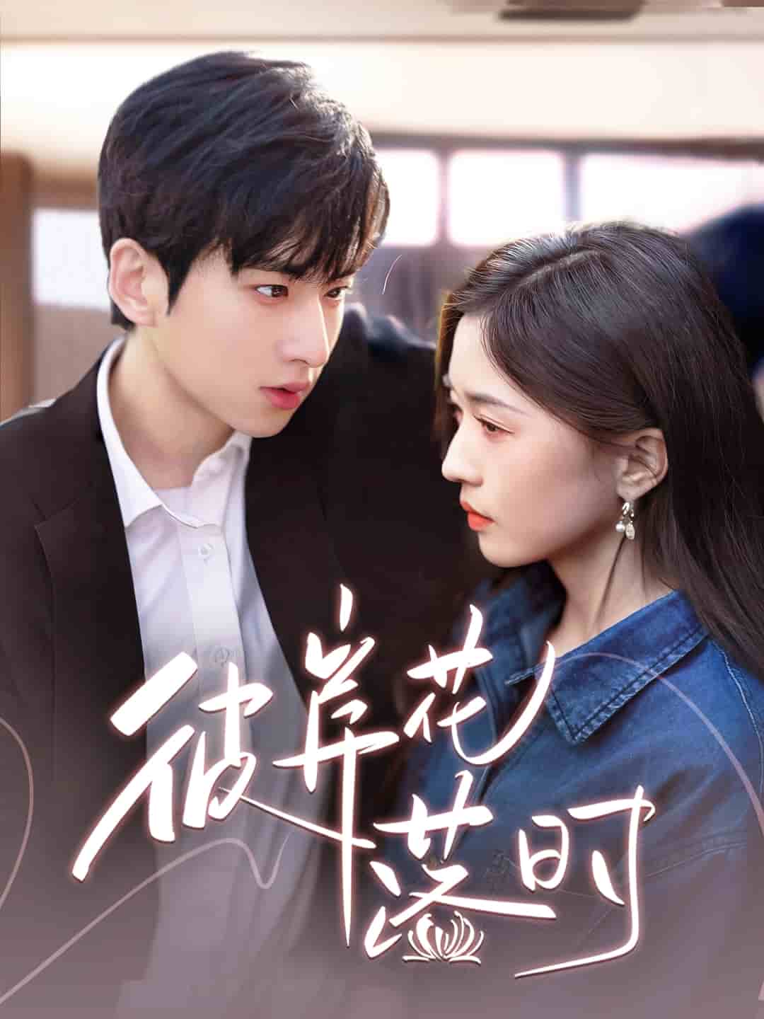 彼岸花落时全集