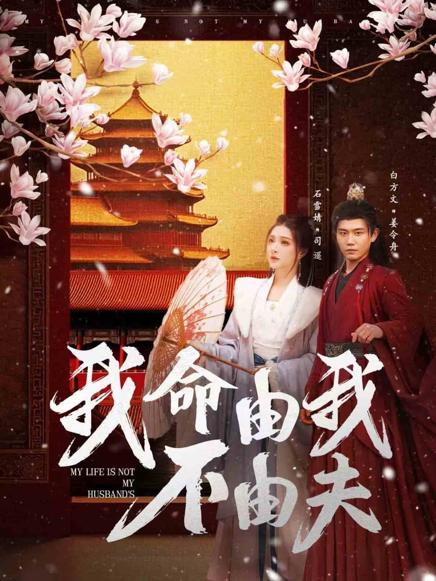我命由我不由夫全集