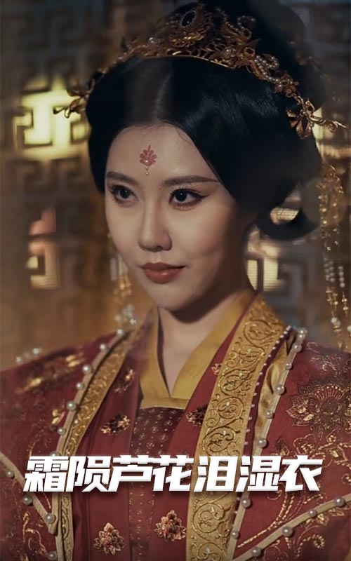 霜陨芦花泪湿衣全集