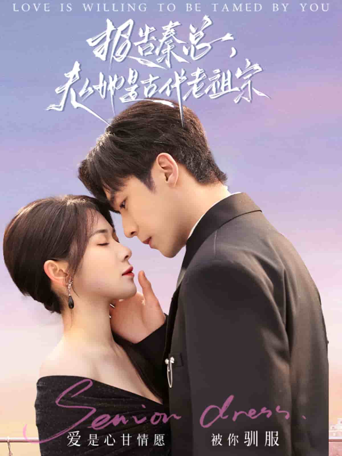 报告秦总，夫人她是古代老祖宗全集