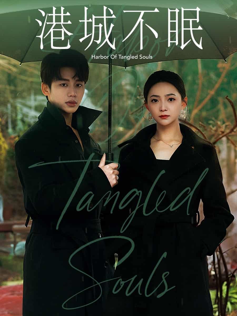 港城不眠全集