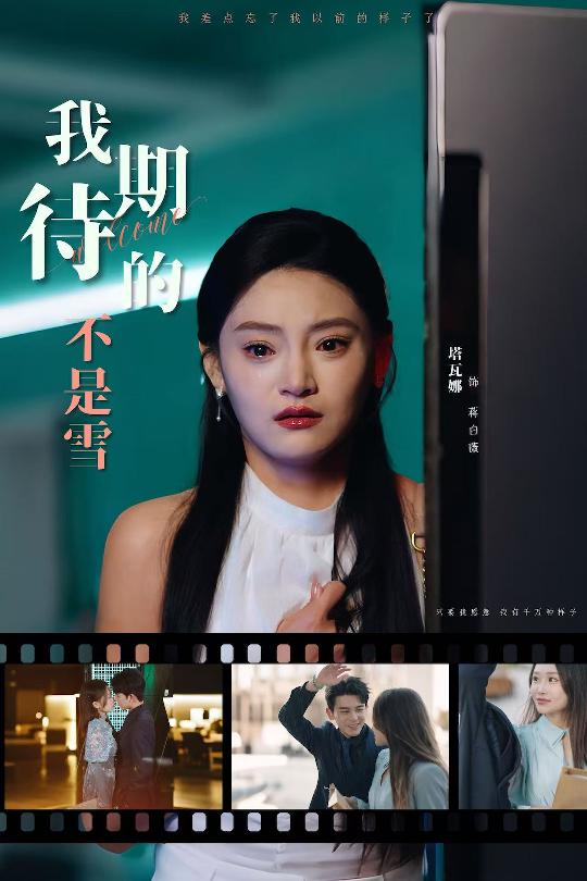 我期待的不是雪全集