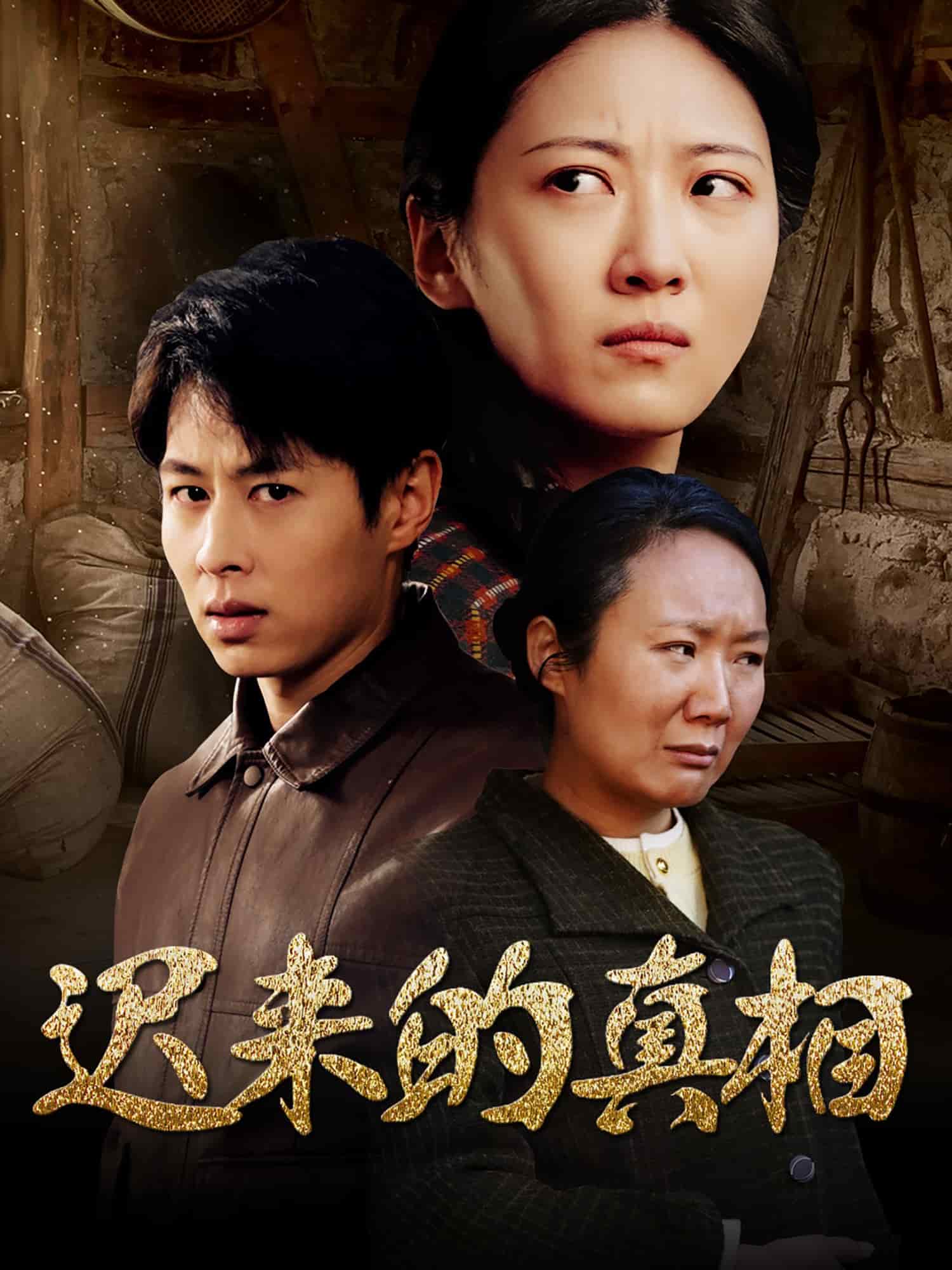 迟来的真相全集