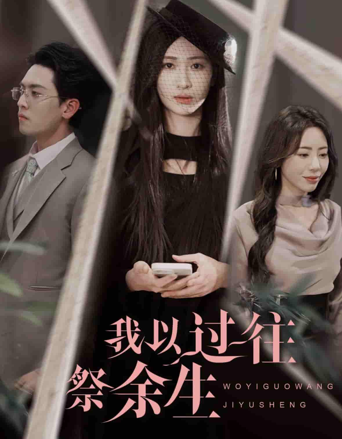 我以过往祭余生全集