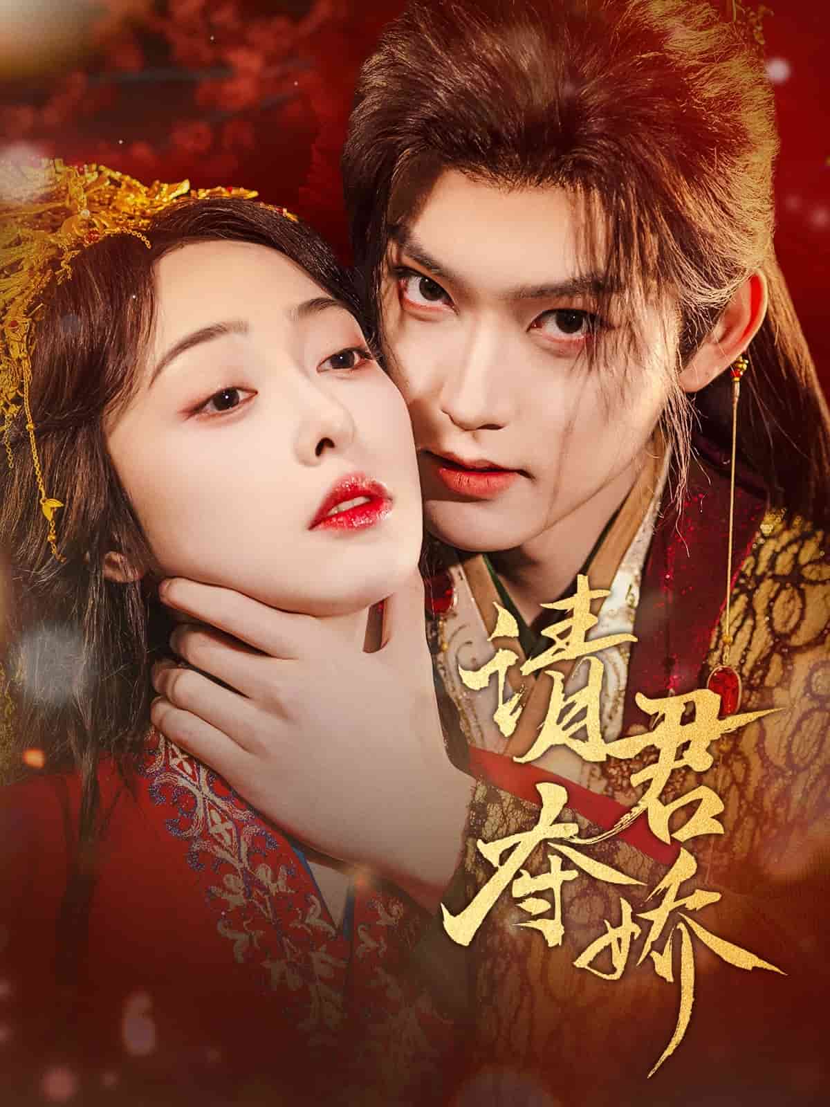 请君夺娇全集