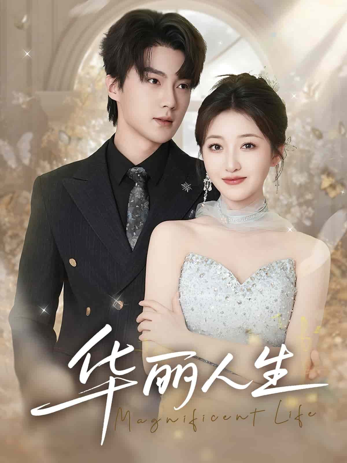 华丽人生全集
