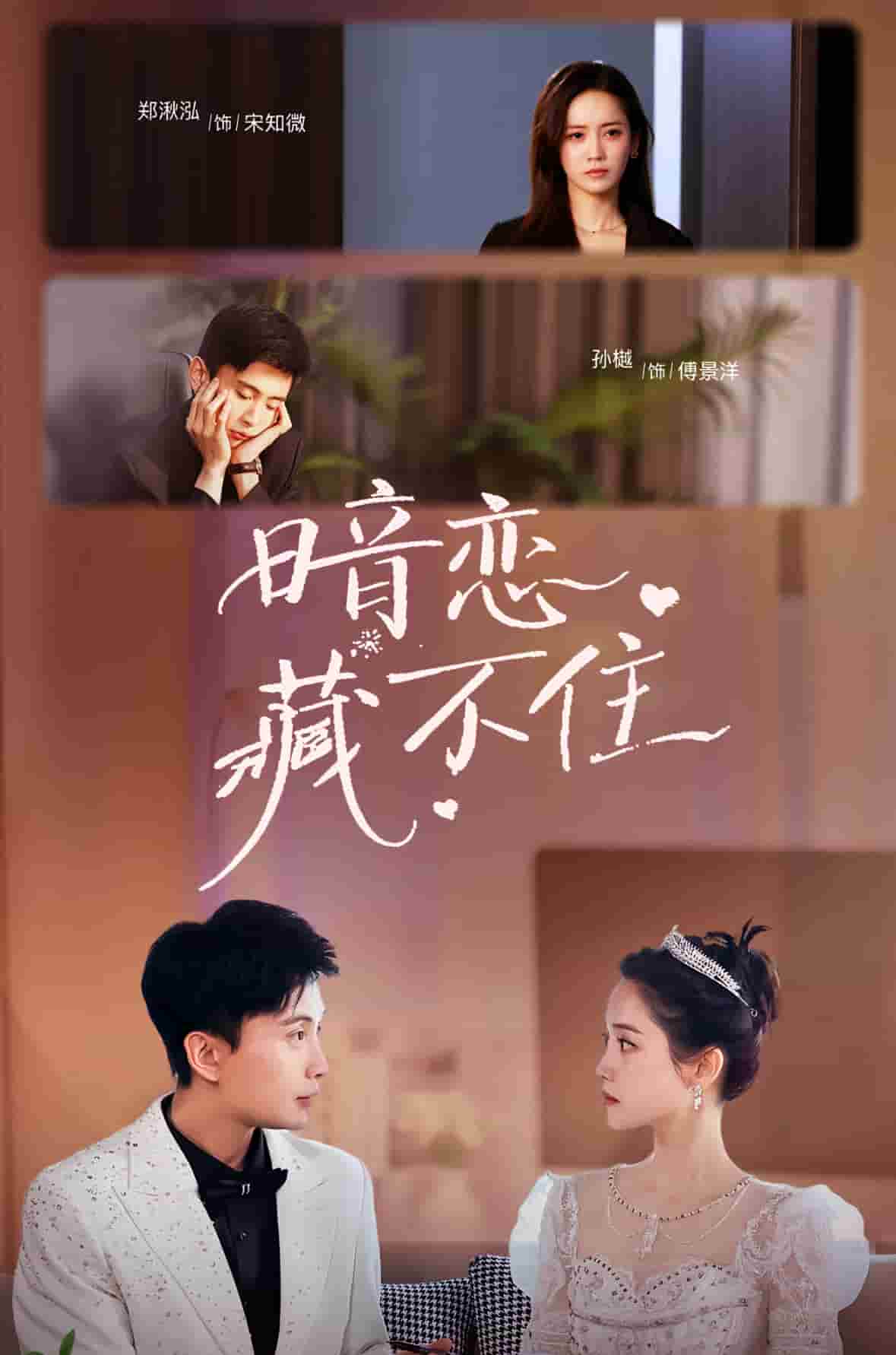 暗恋藏不住全集