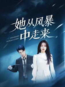 她从风暴中走来全集