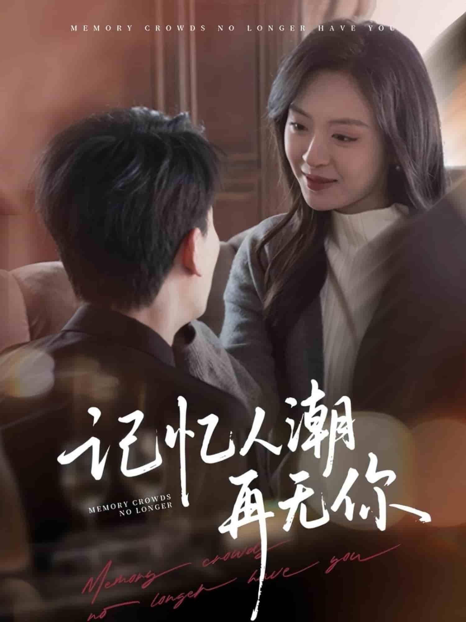 记忆人潮再无你全集