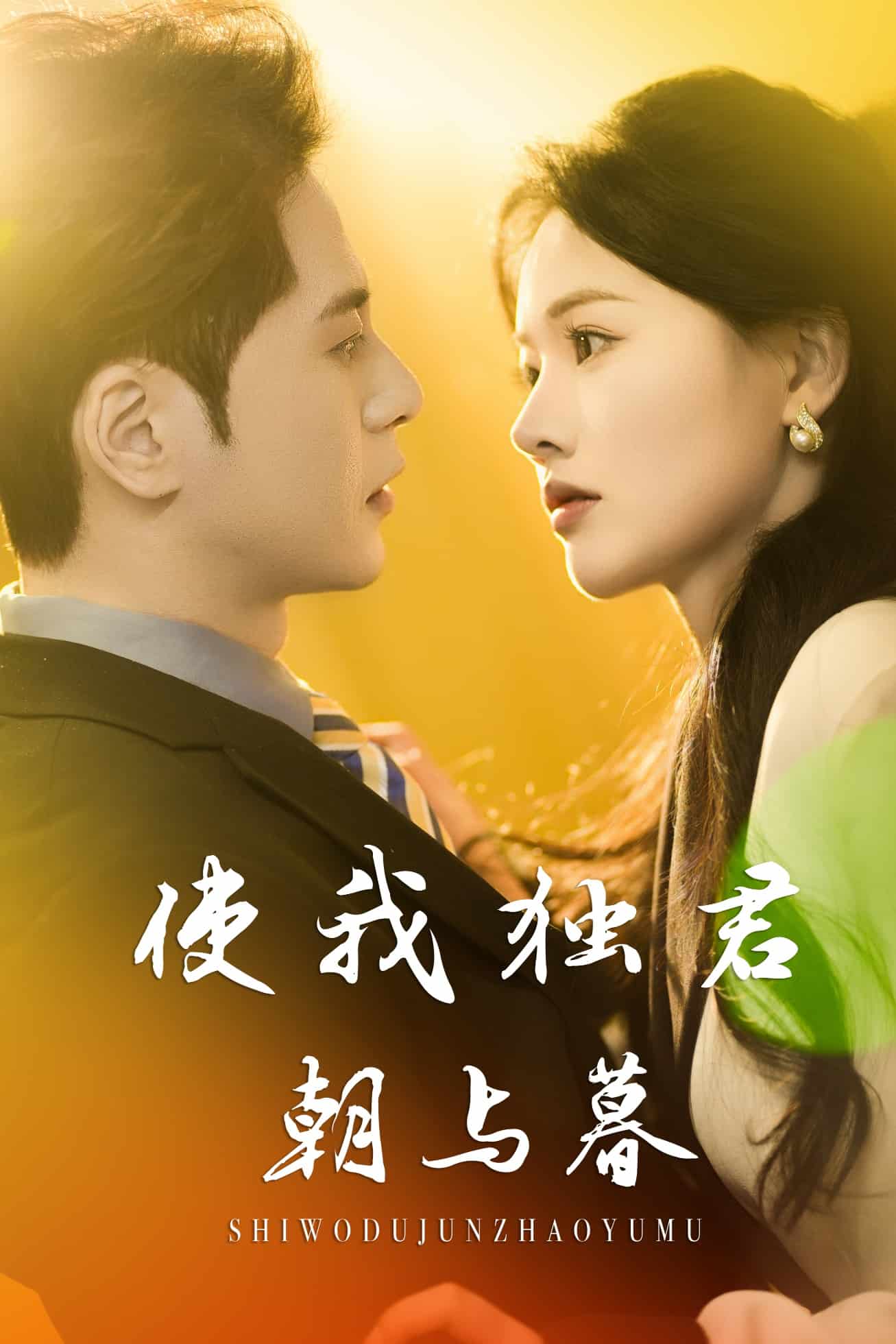 使我独君朝与暮全集