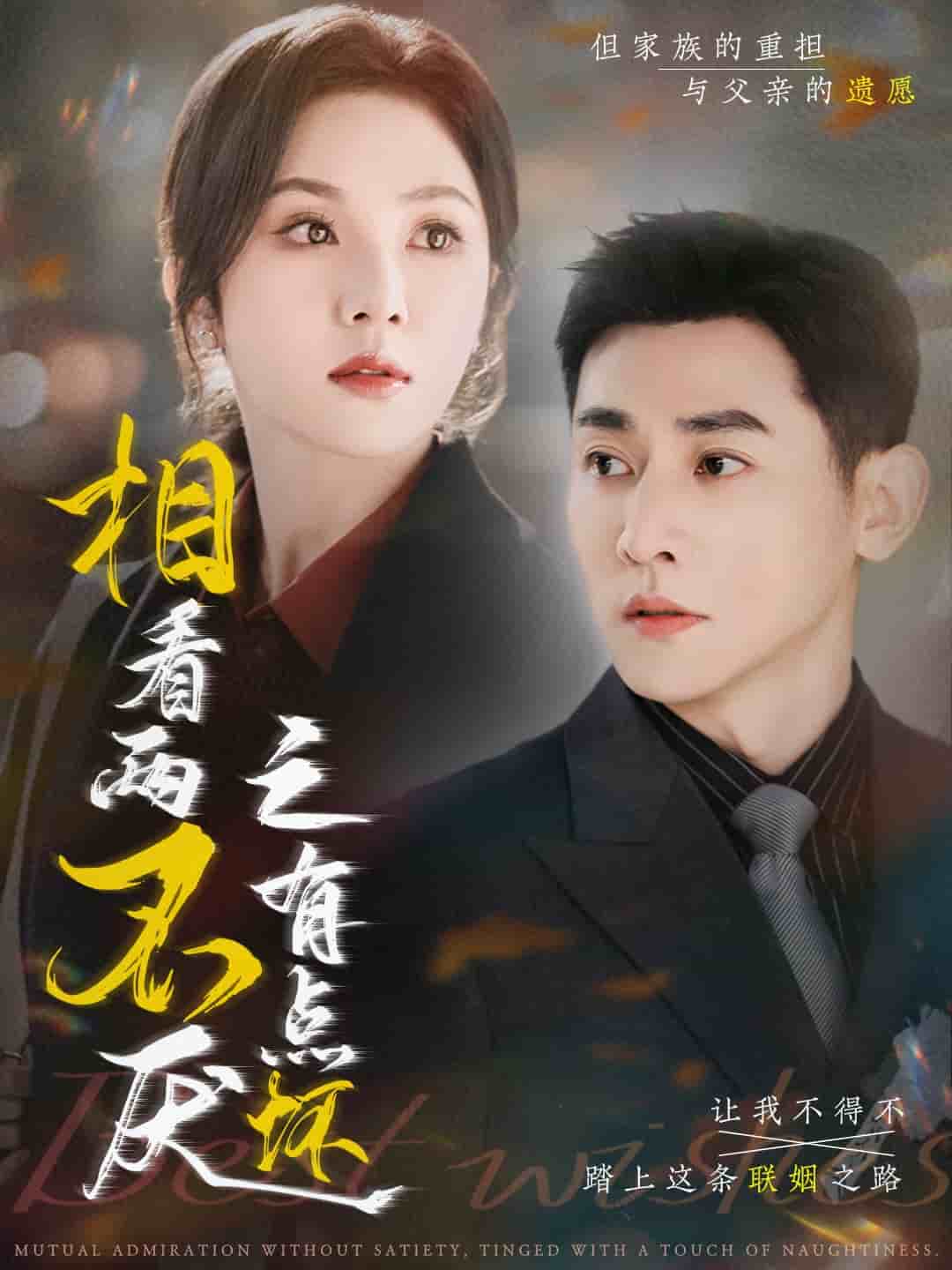 相看两不厌之有点坏全集