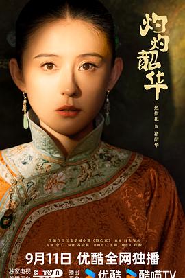 灼灼韶华全集