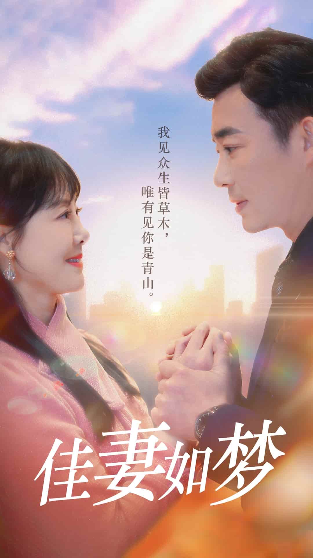 佳妻如梦全集