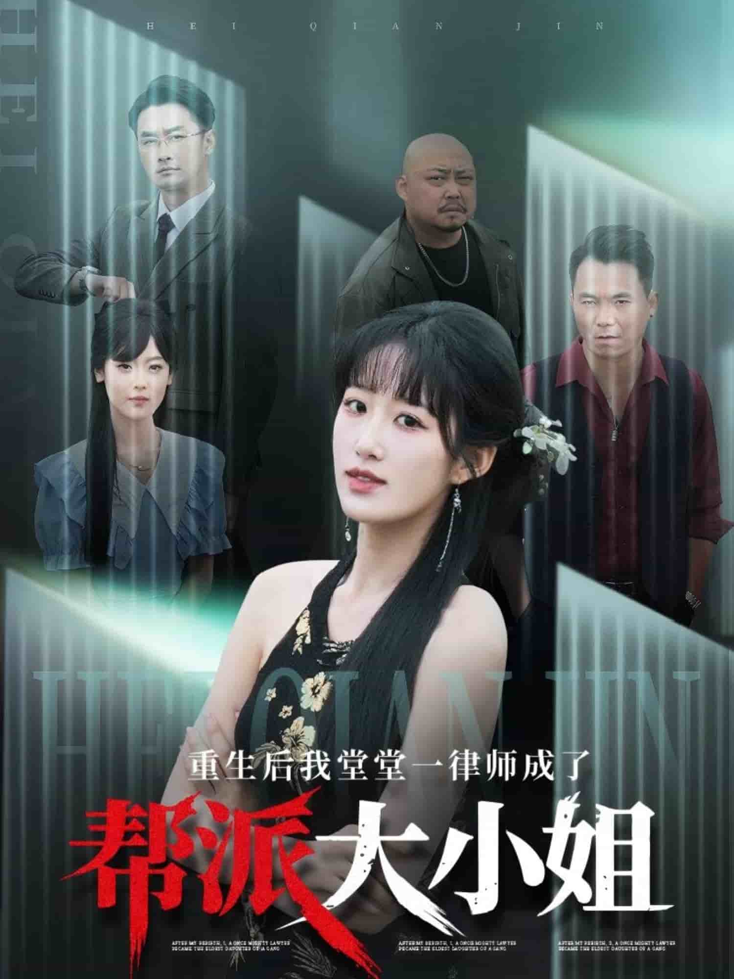 重生后我堂堂一律师成了帮派大小姐全集