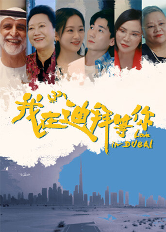 我在迪拜等你全集