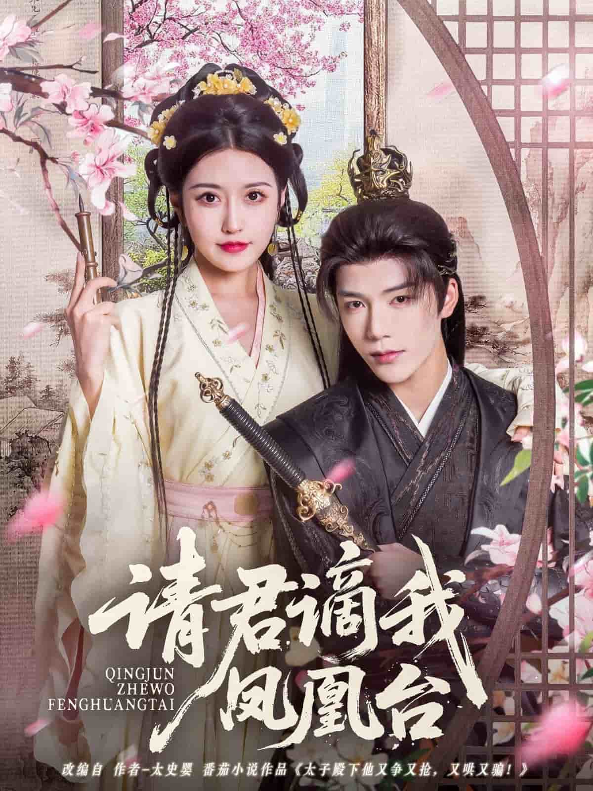 请君谪我凤凰台全集