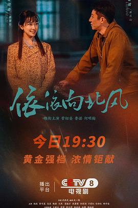 依依向北风全集