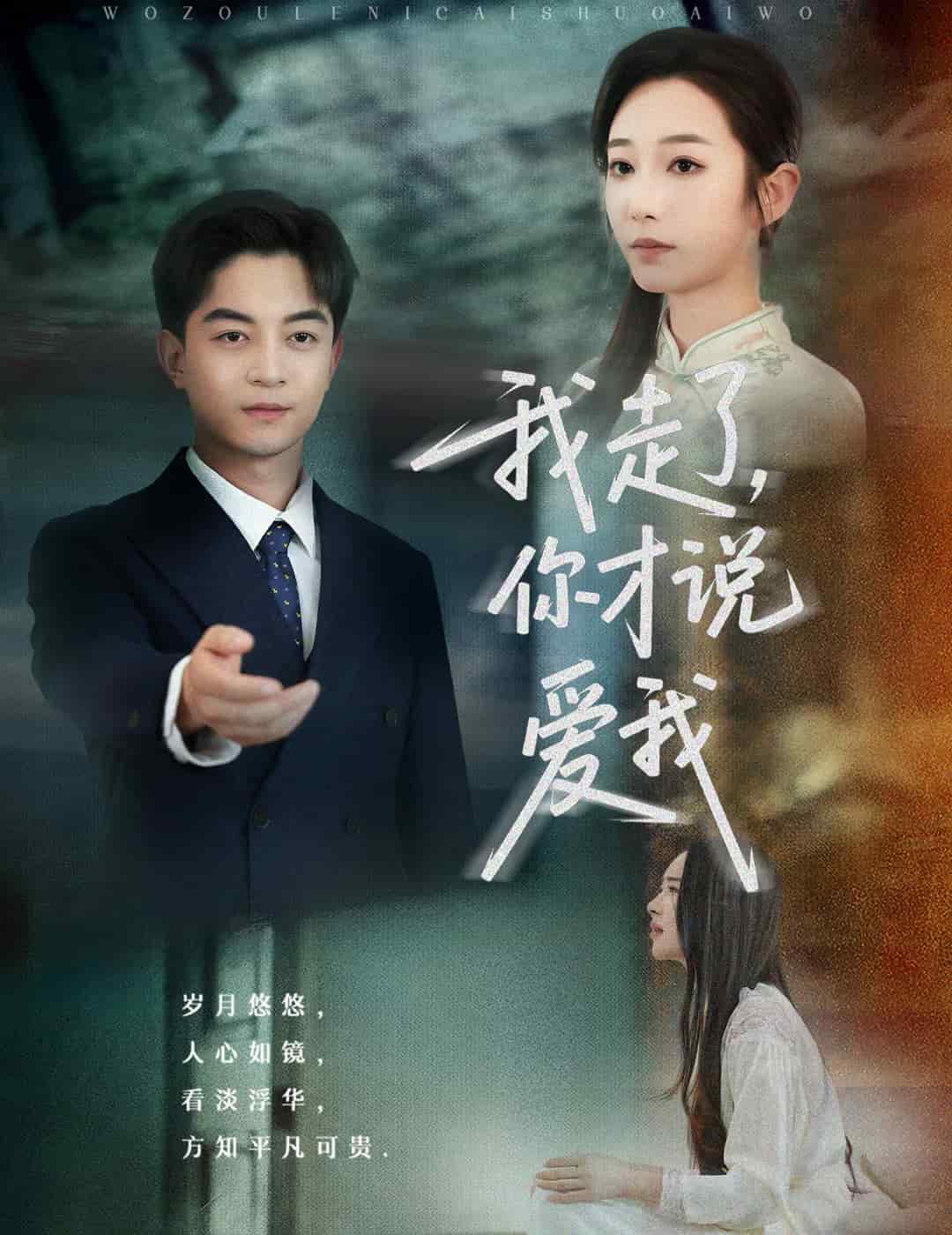 我走了你才说爱我全集