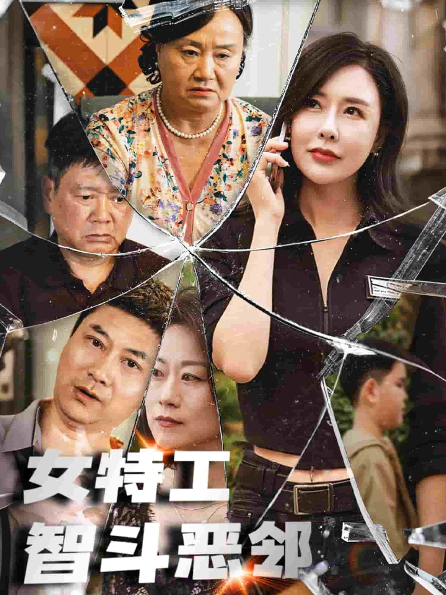 女特工智斗恶邻全集