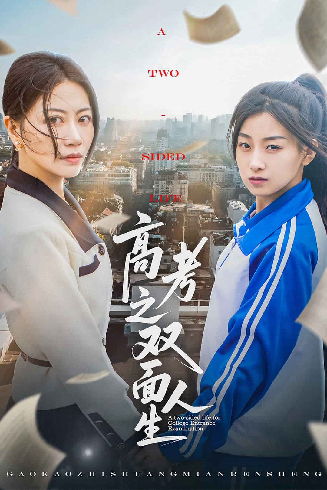 高考之双面人生全集