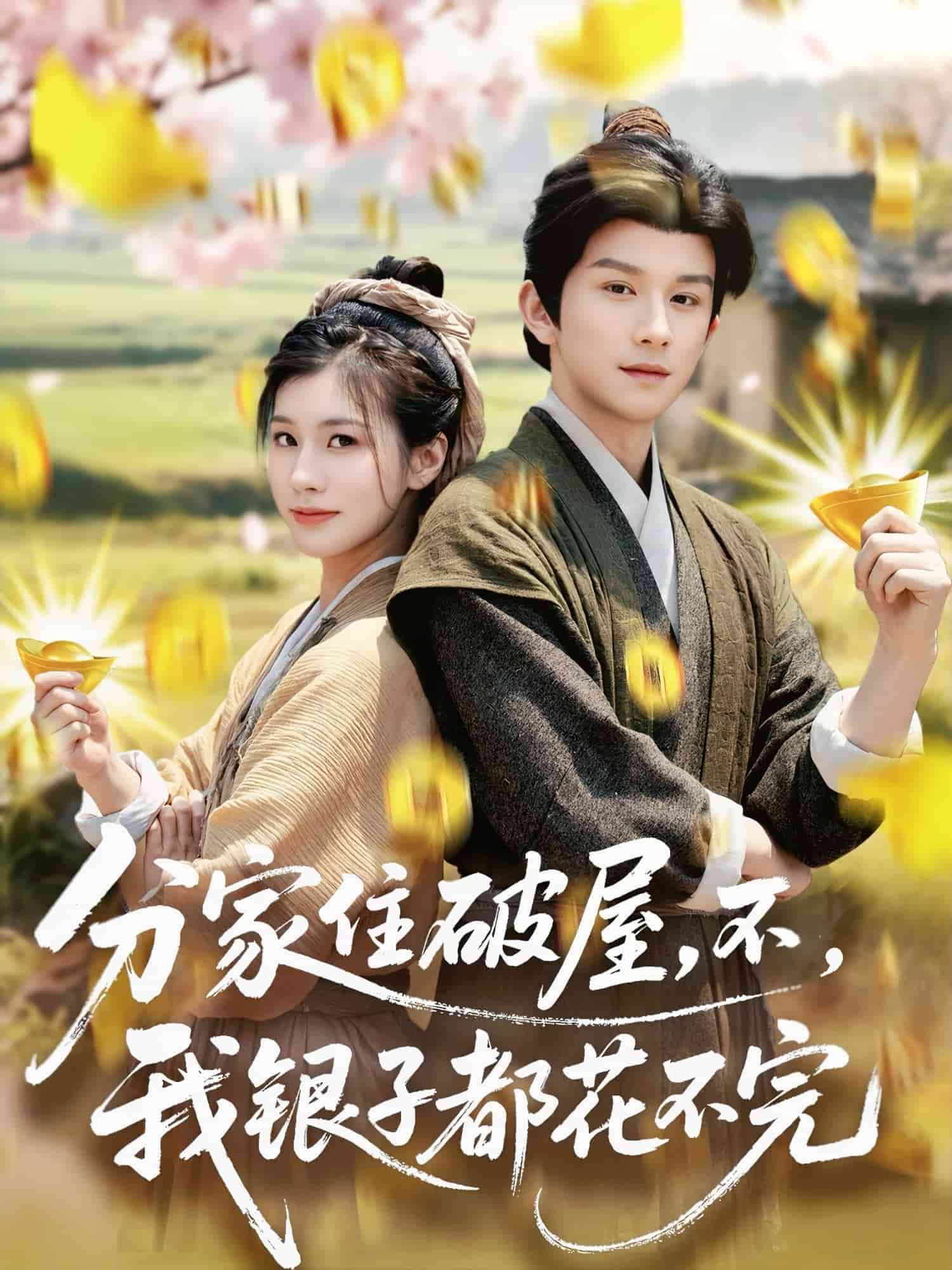 分家住破屋，不，我银子都花不完全集