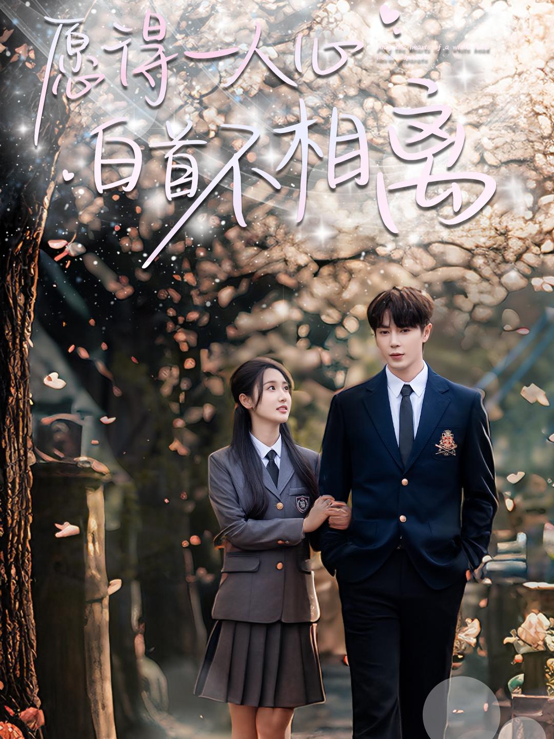 愿得一人心白首不相离全集