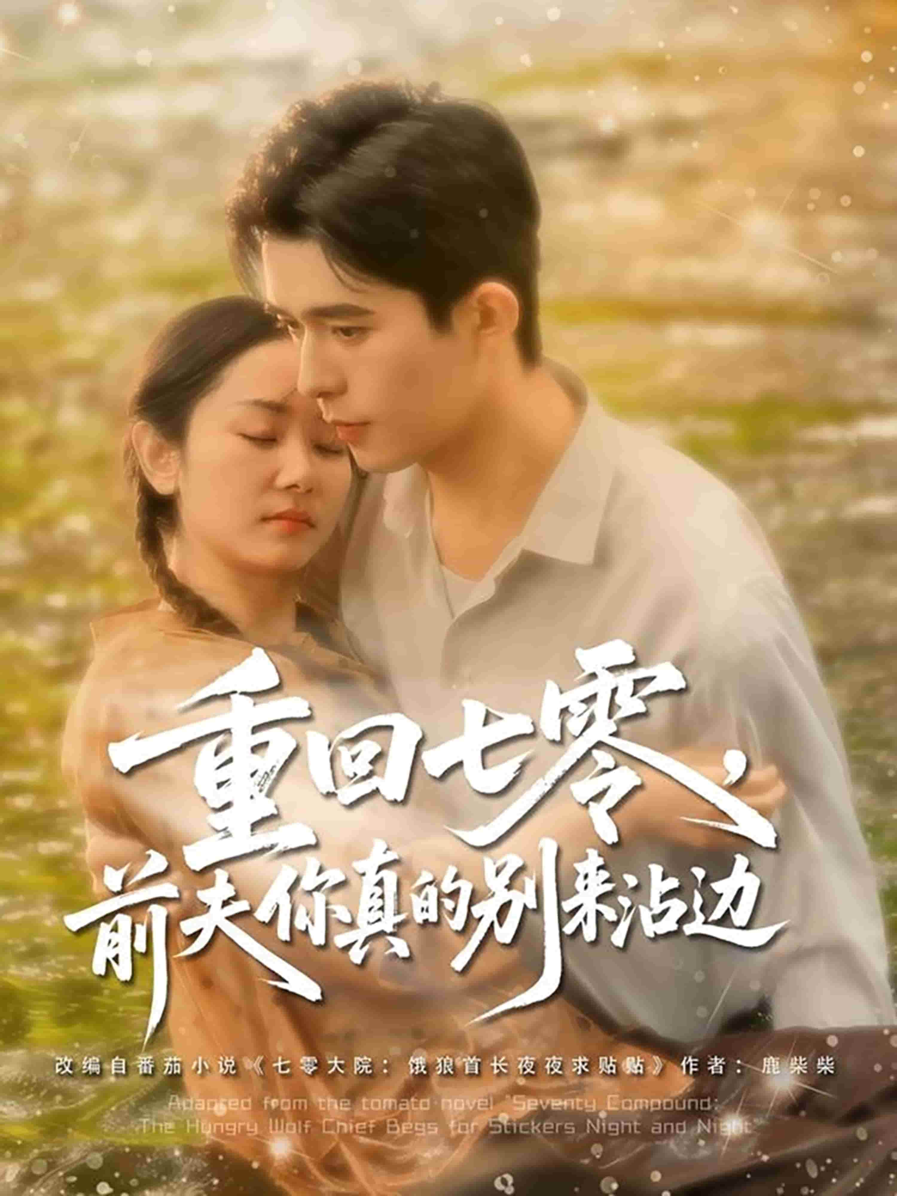 重回七零前夫你真的别来沾边全集