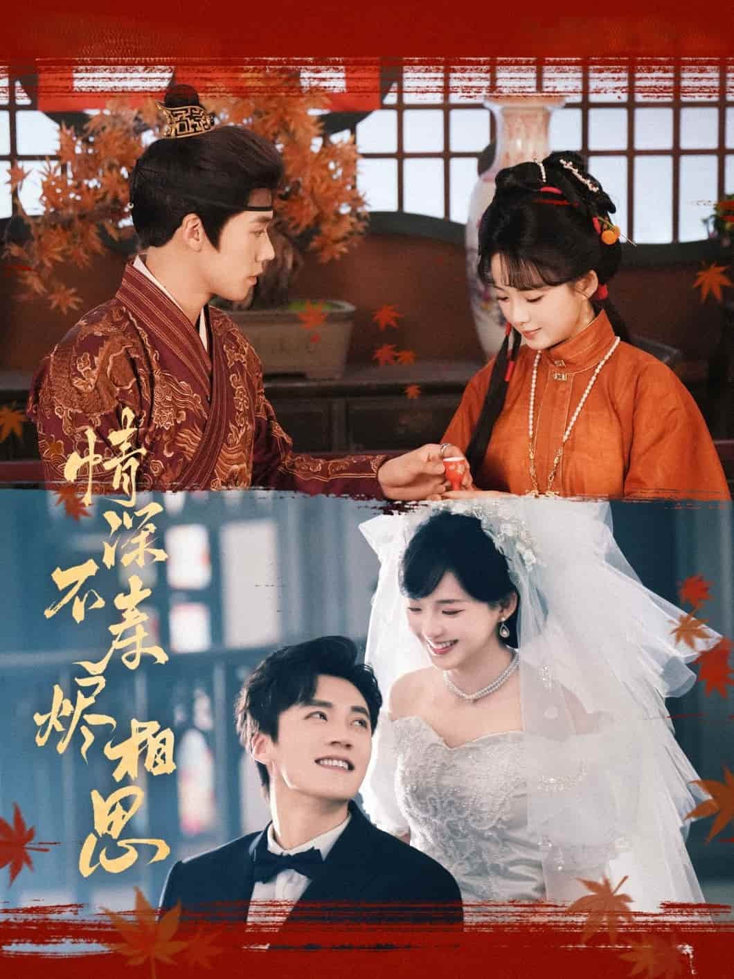 情深不寿烬相思全集