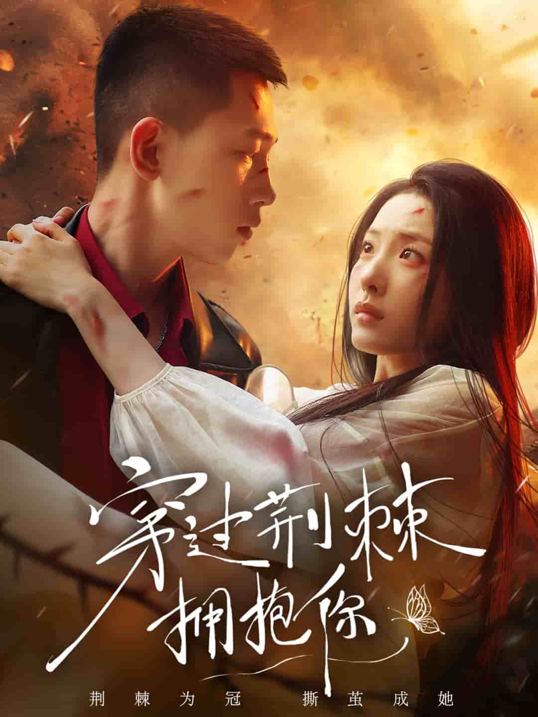 穿过荆棘拥抱你全集