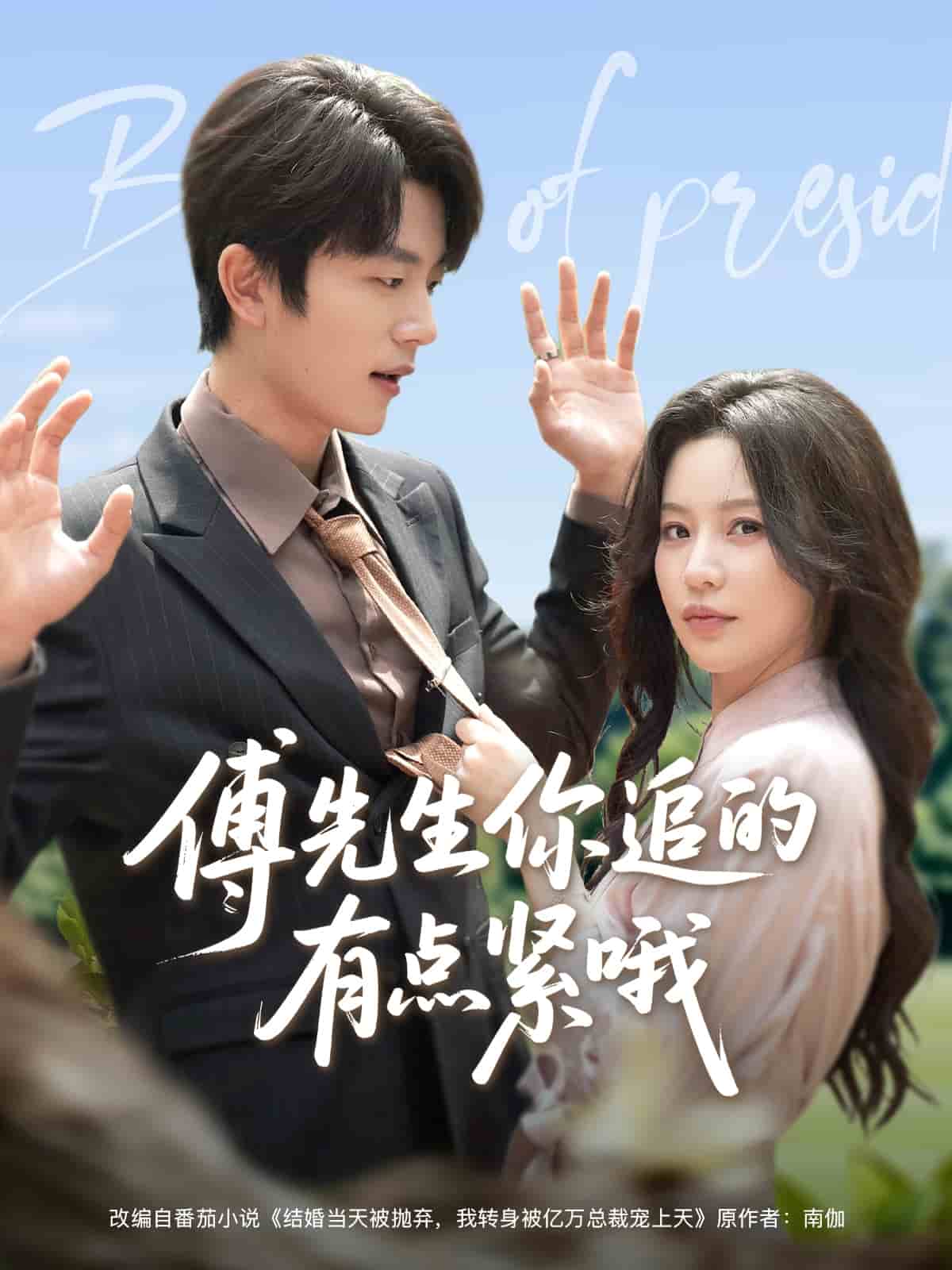 傅先生你追的有点紧哦全集