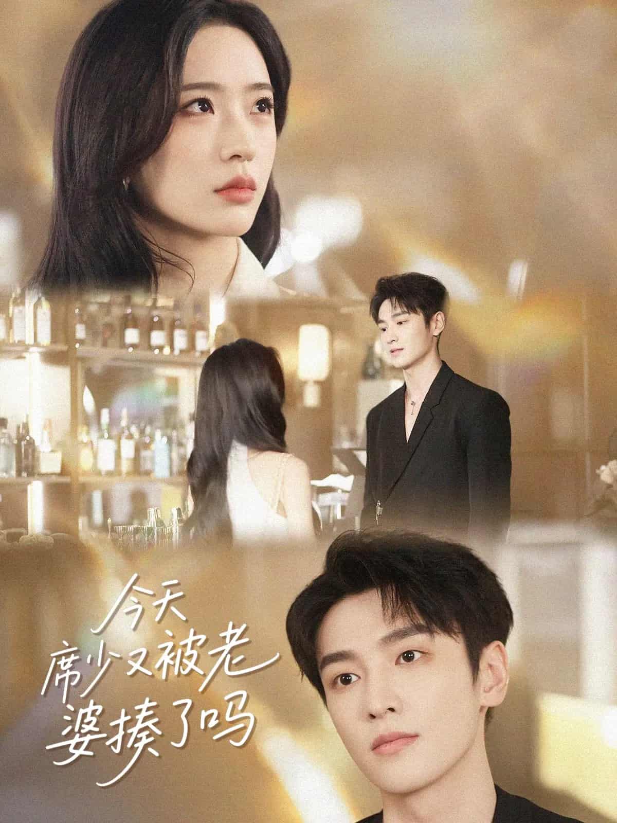 今天席少又被老婆揍了吗全集