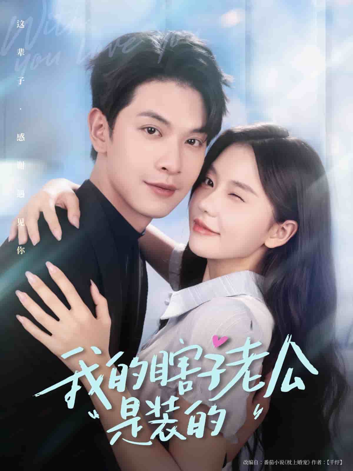 我的瞎子老公是装的全集