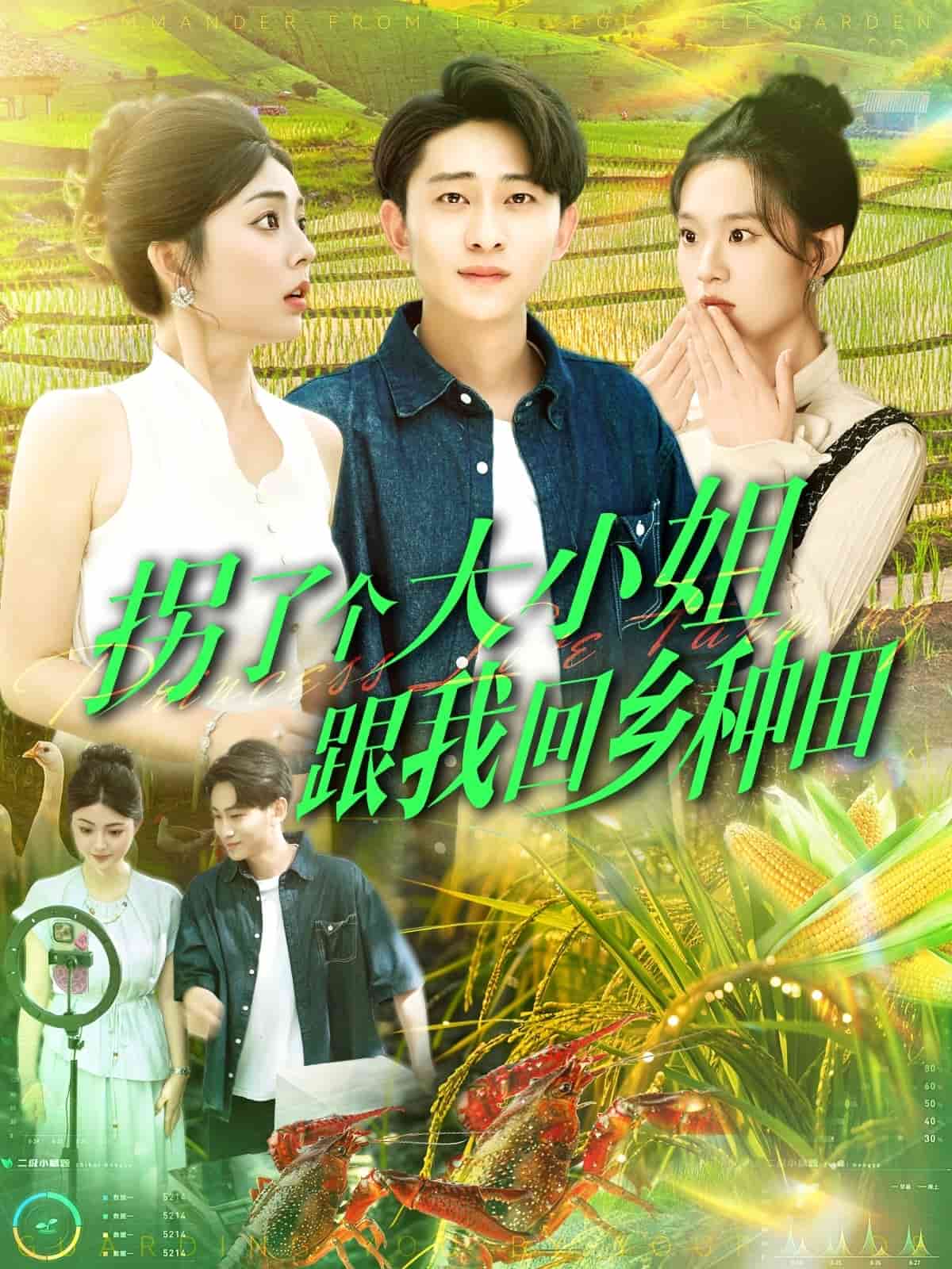 拐了个大小姐跟我回乡种田全集