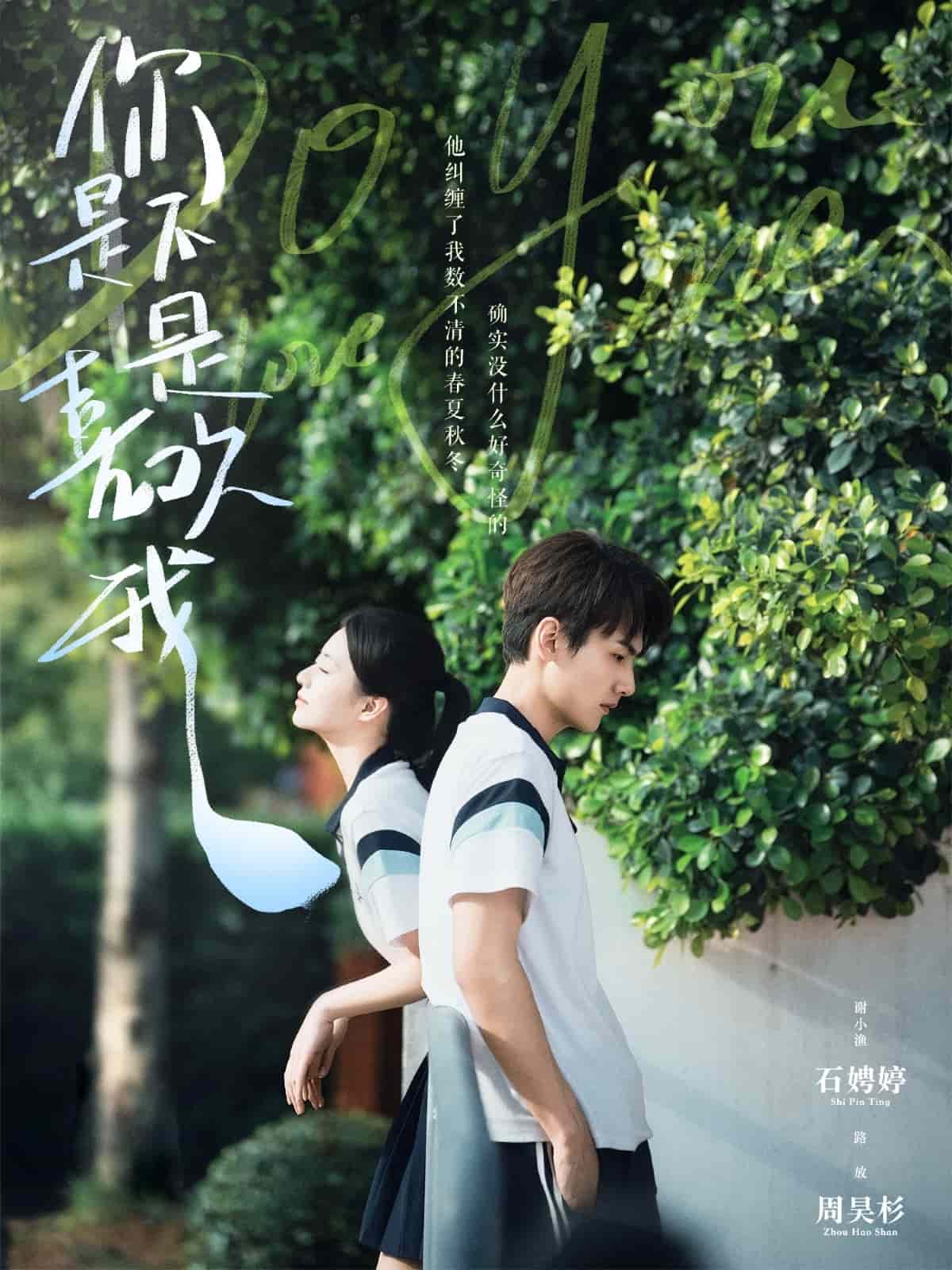 你是不是喜欢我全集