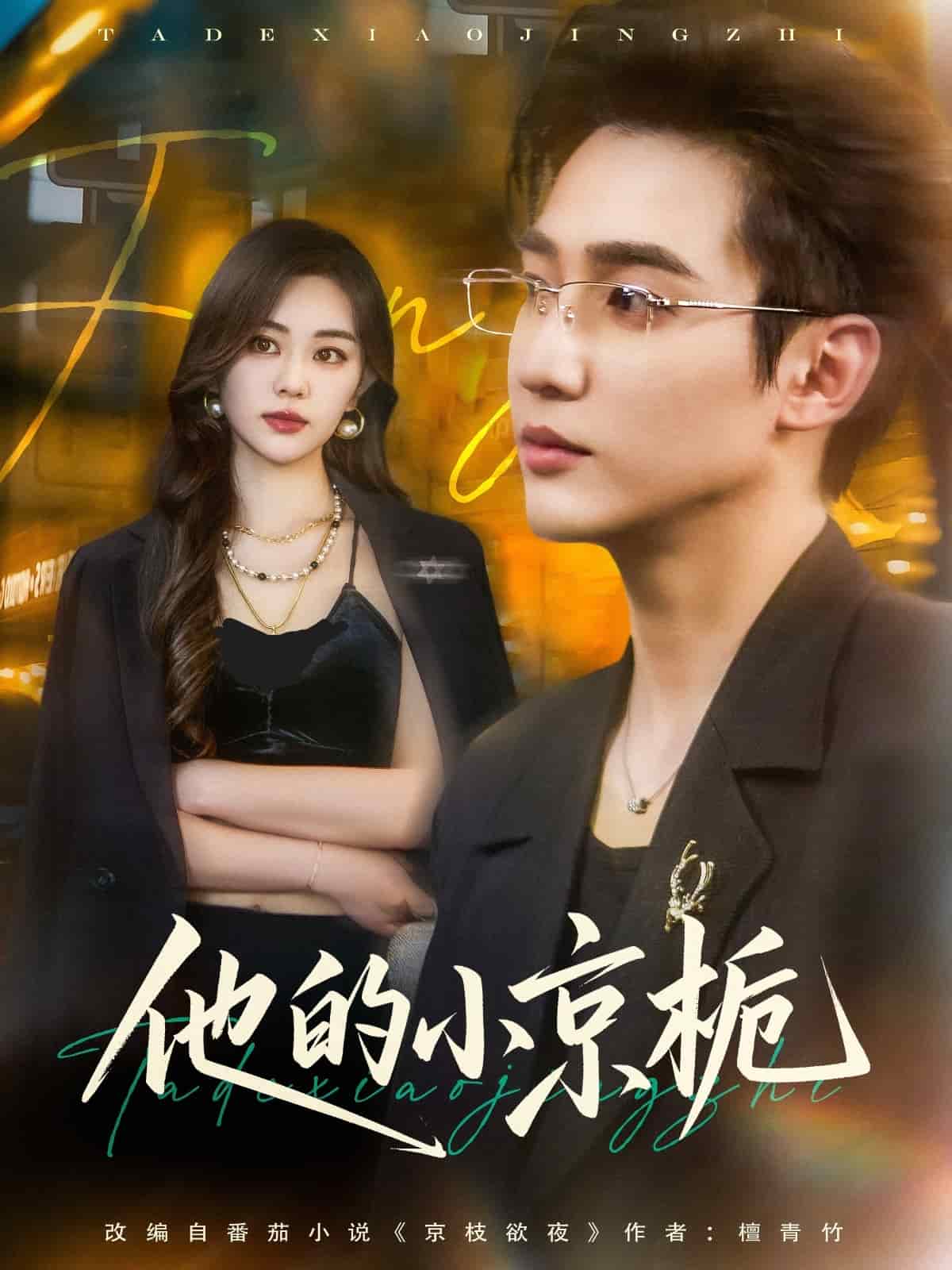 他的小京栀全集