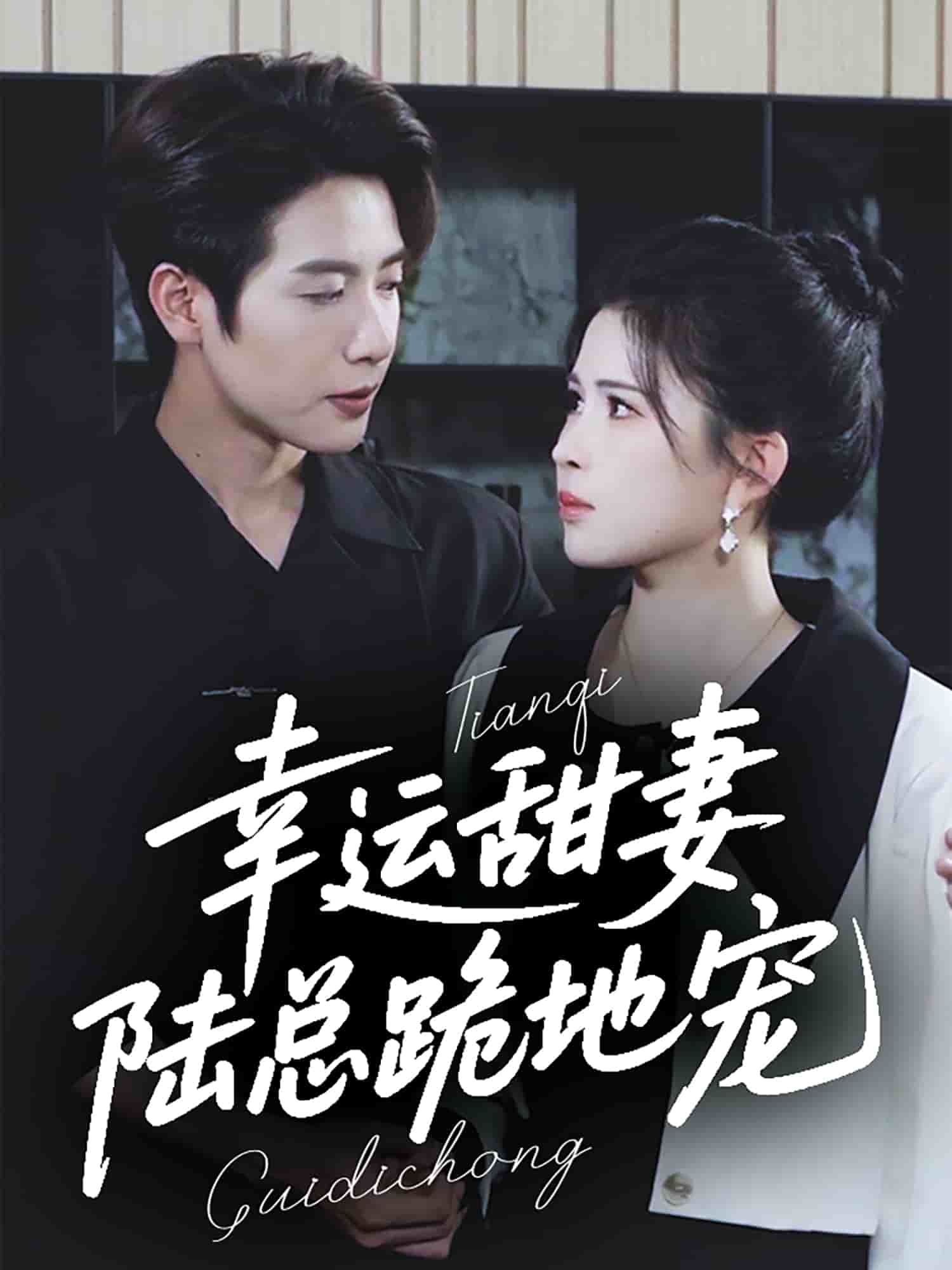 幸运甜妻，陆总跪地宠全集