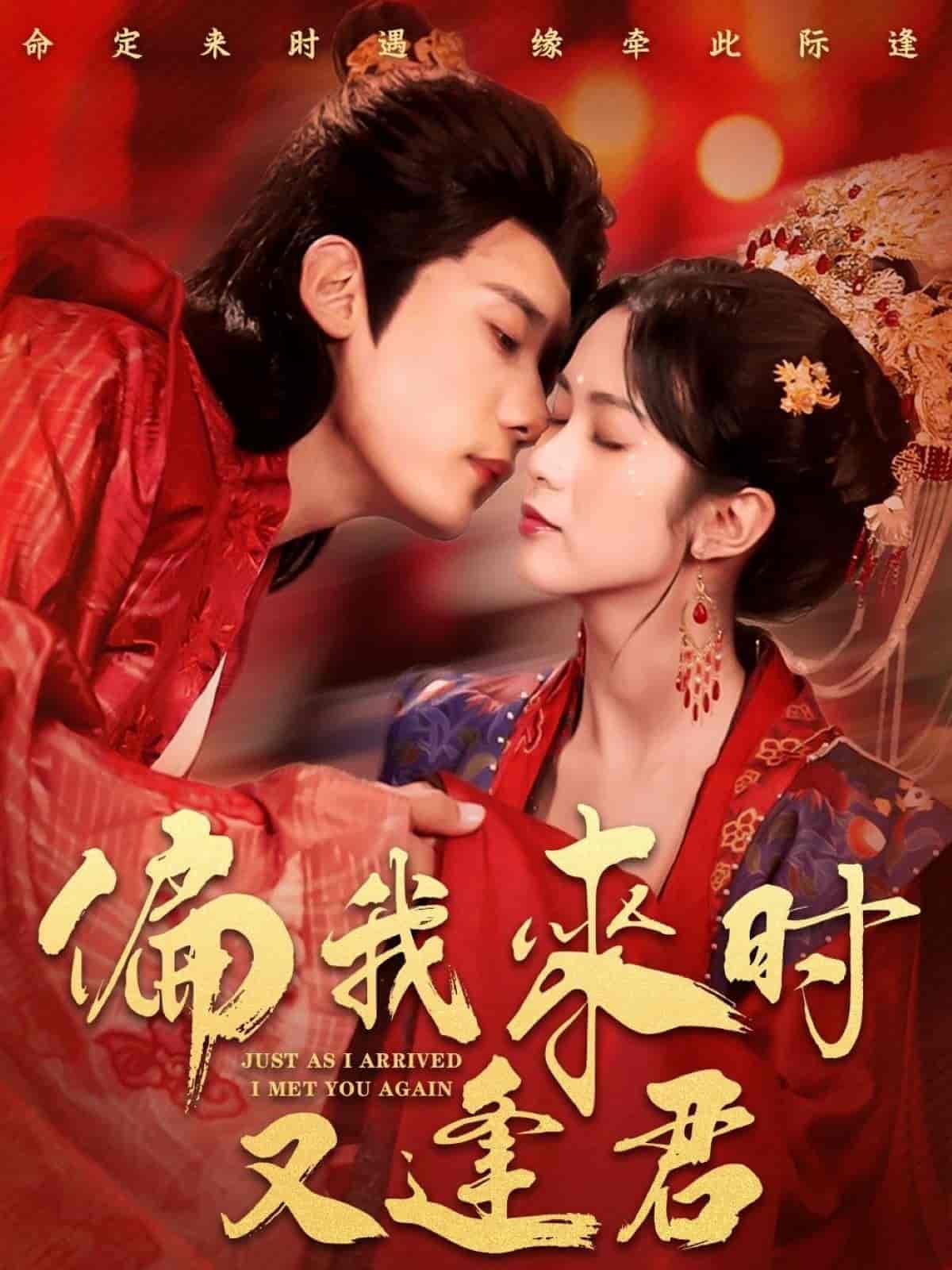 偏我来时又逢君全集