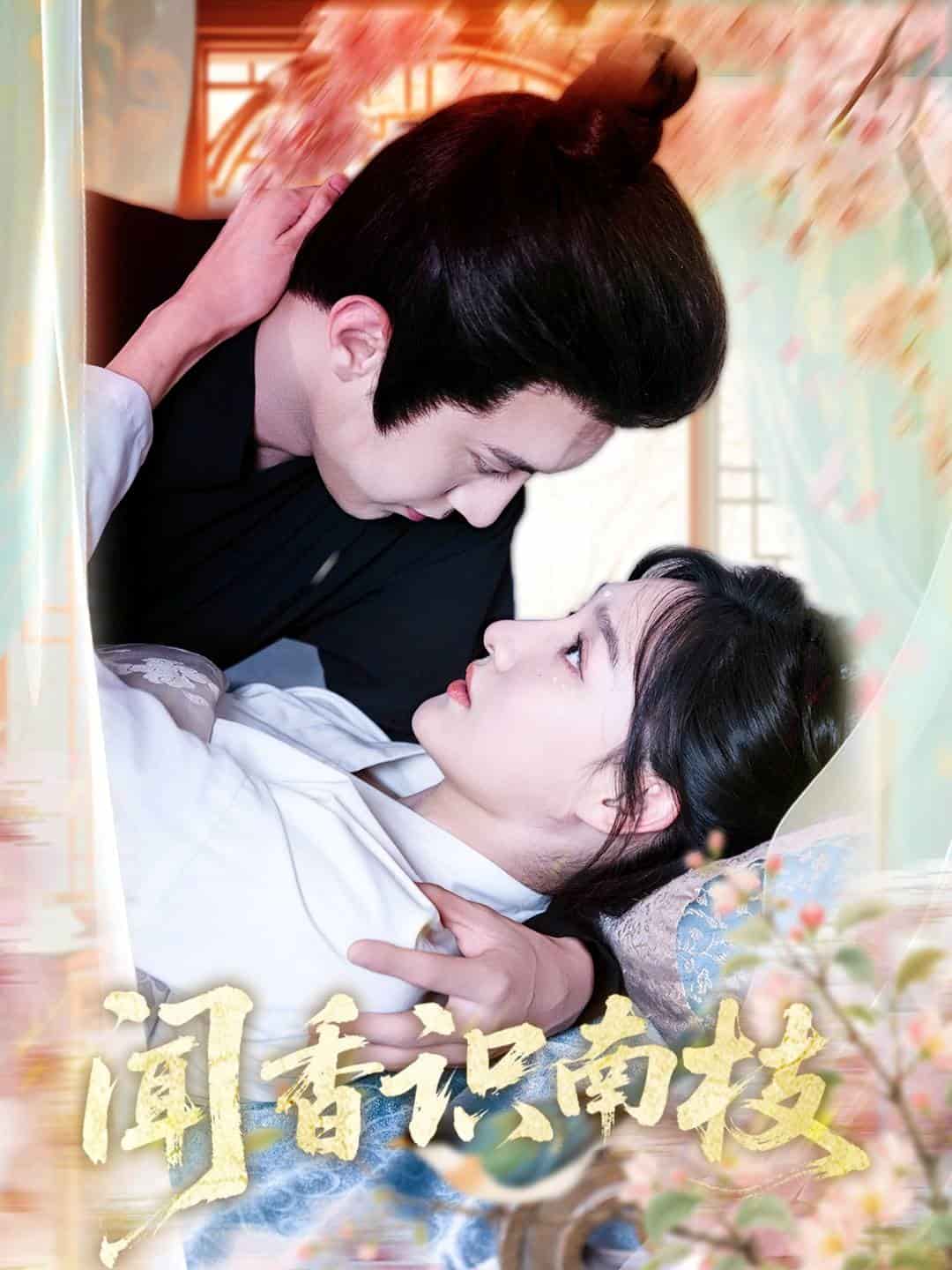 闻香识南枝全集