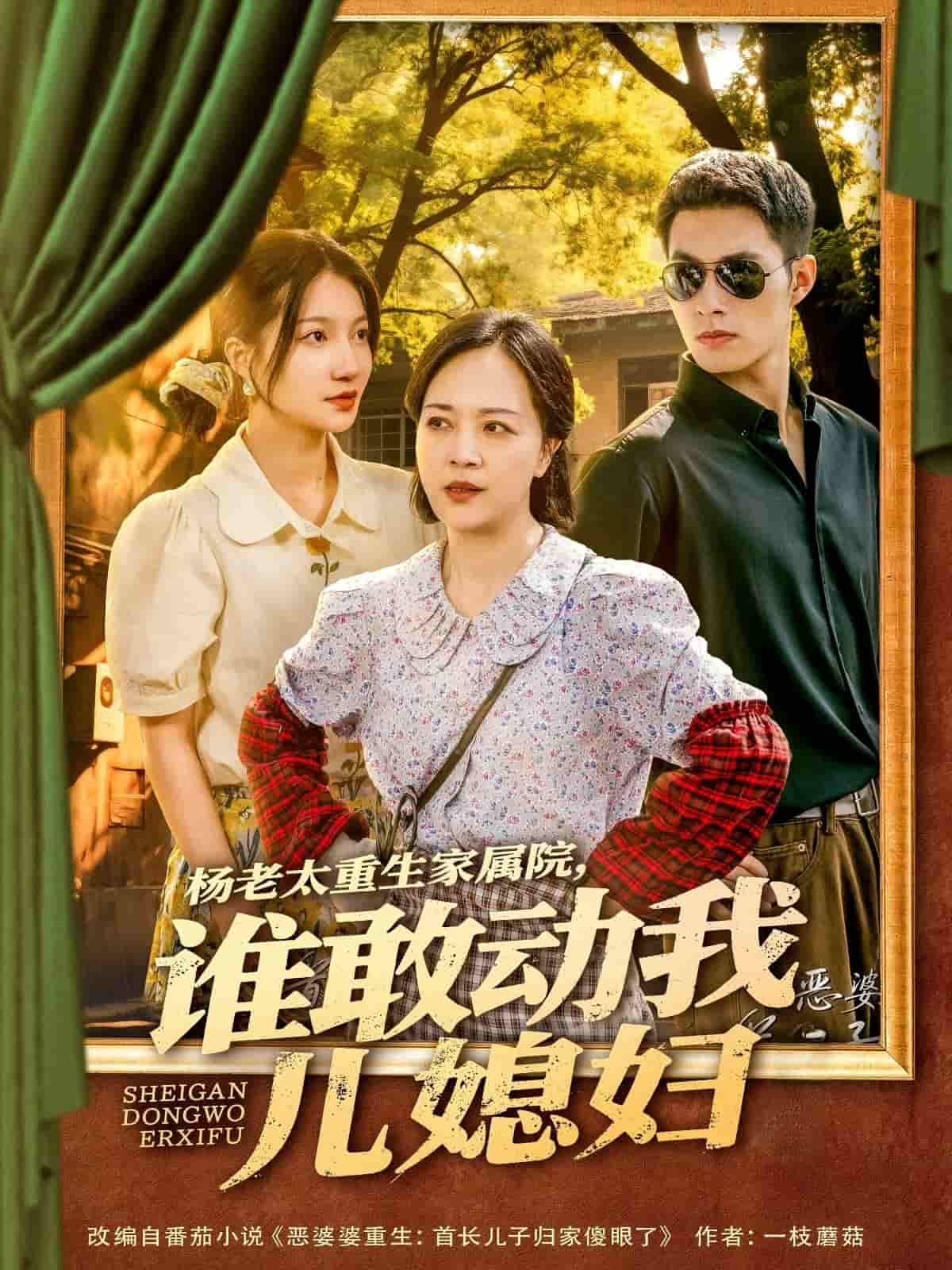 杨老太重生家属院，谁敢动我儿媳妇全集