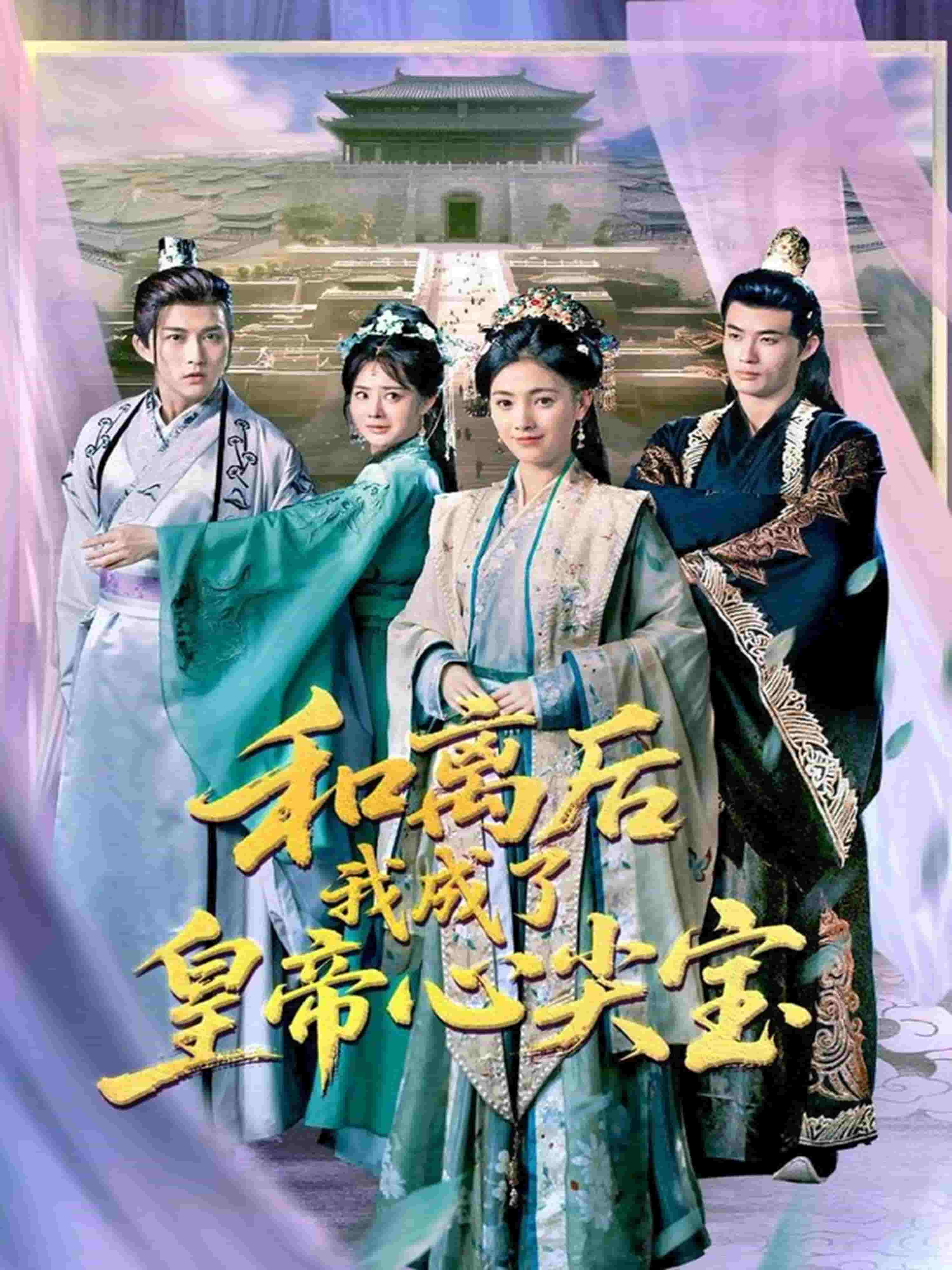 和离后我成了皇帝心尖宝全集