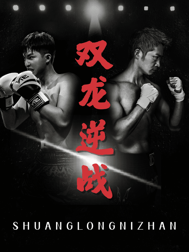 拳王之父子双龙全集