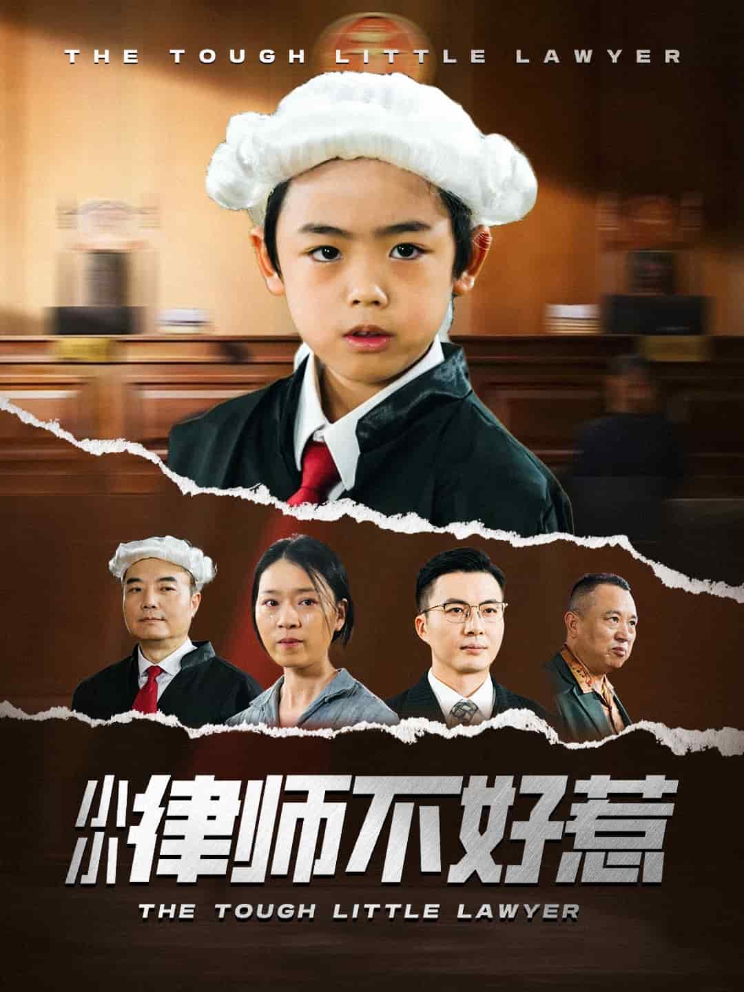 小小律师不好惹全集