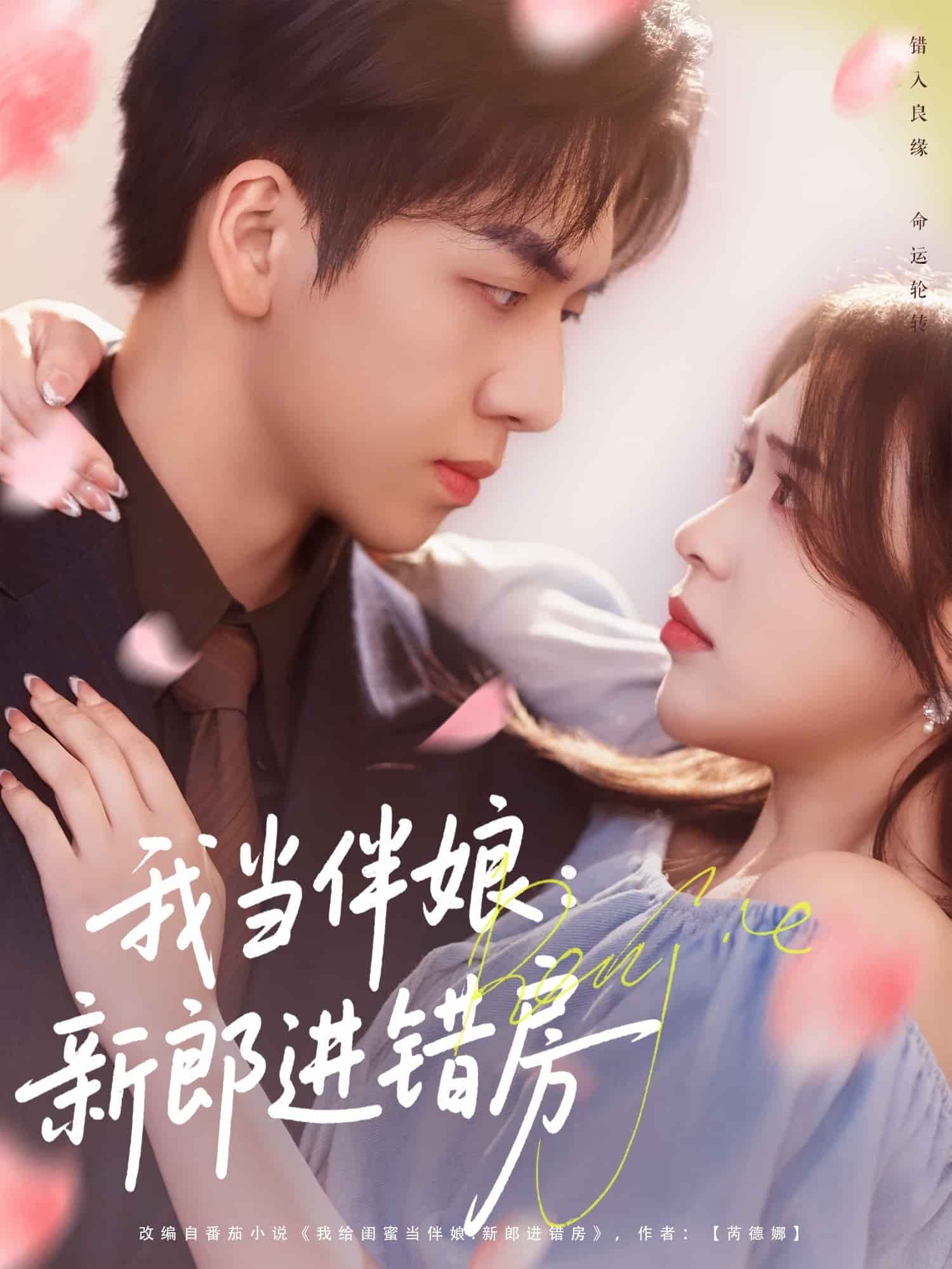 我当伴娘新郎进错房全集