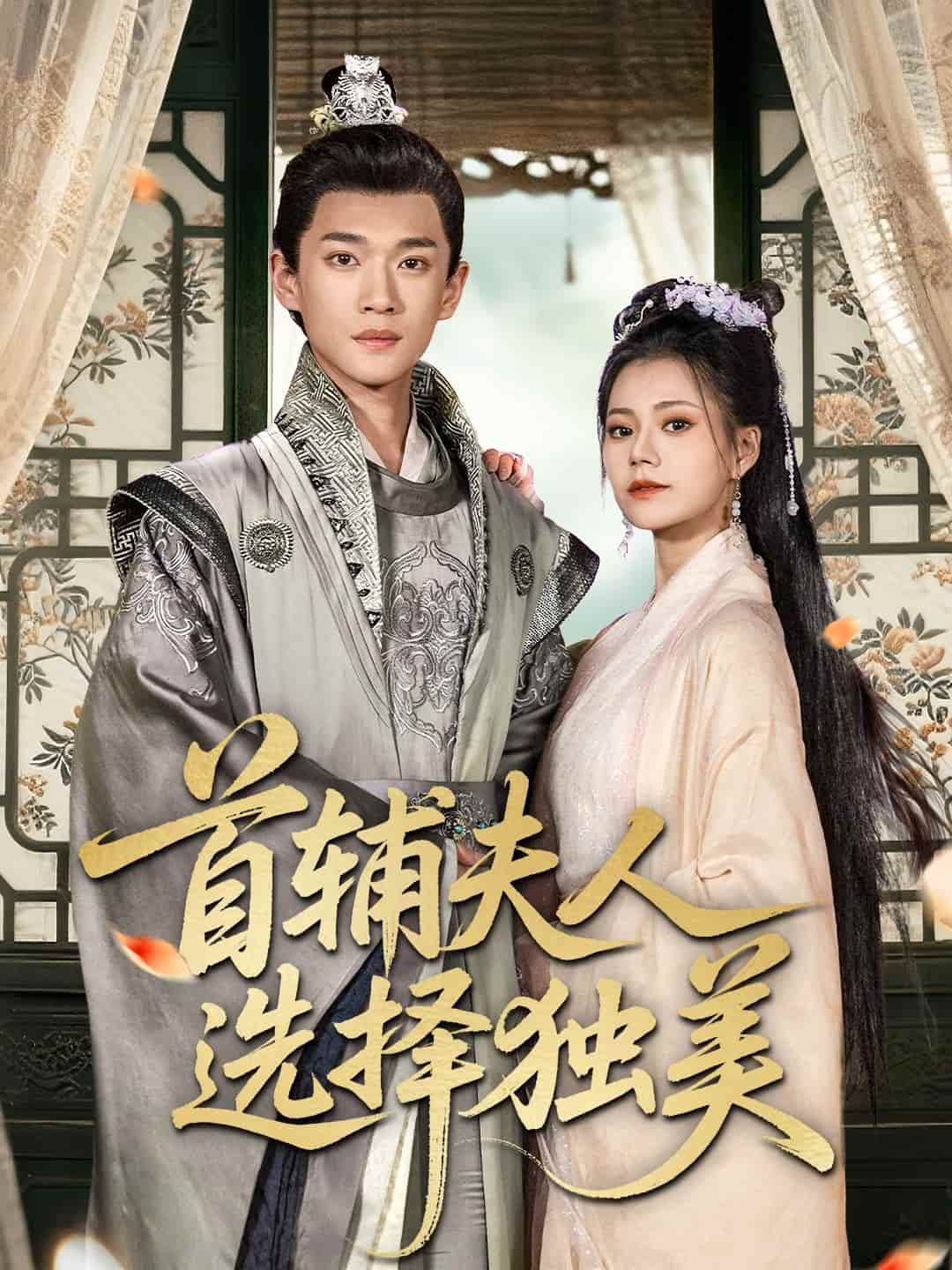 首辅夫人选择独美全集