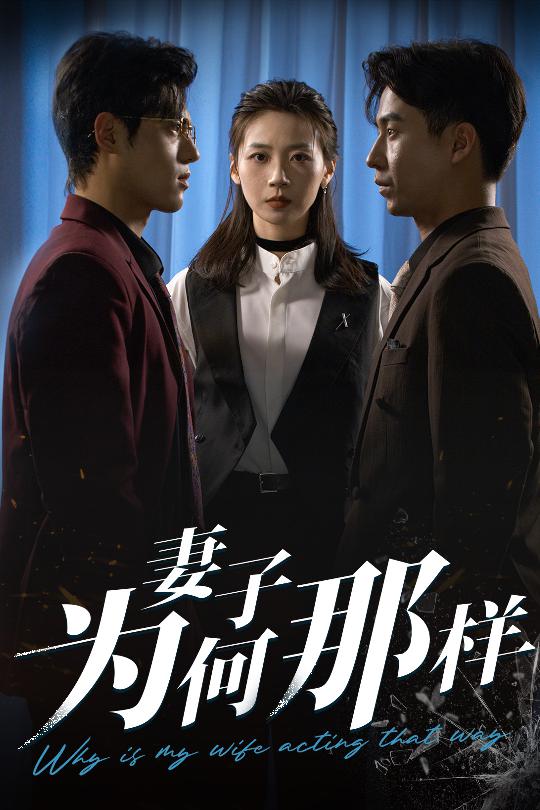 妻子为何那样全集