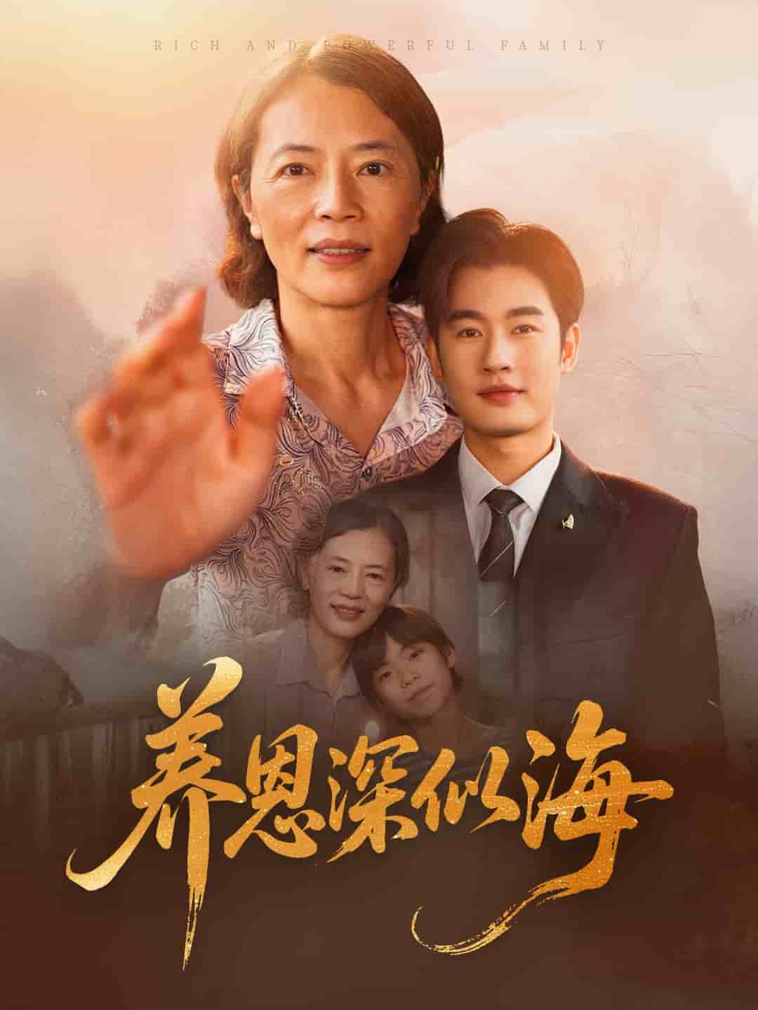 养恩深似海全集