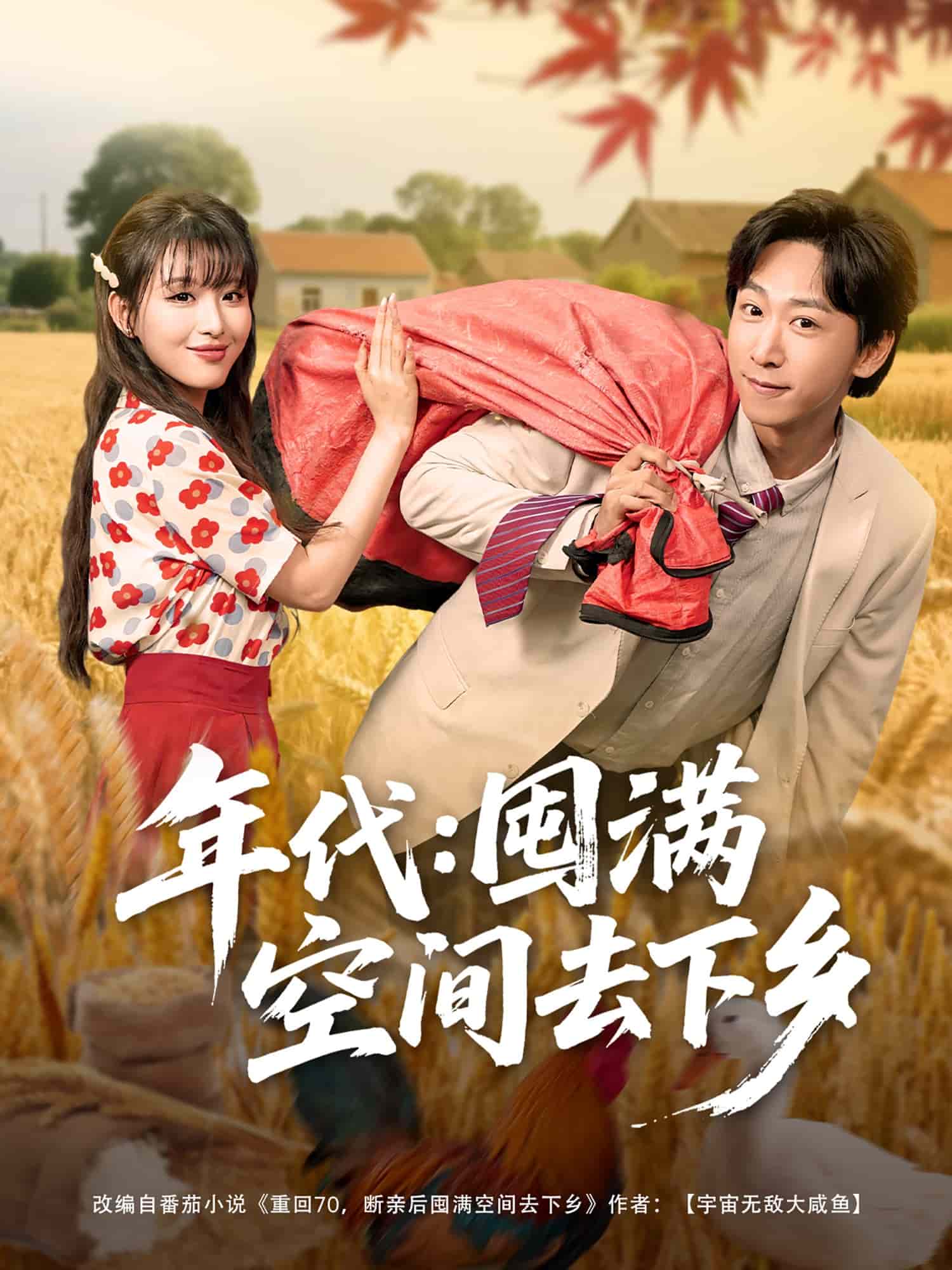 年代囤满空间去下乡全集