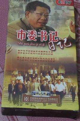 市委书记日记全集